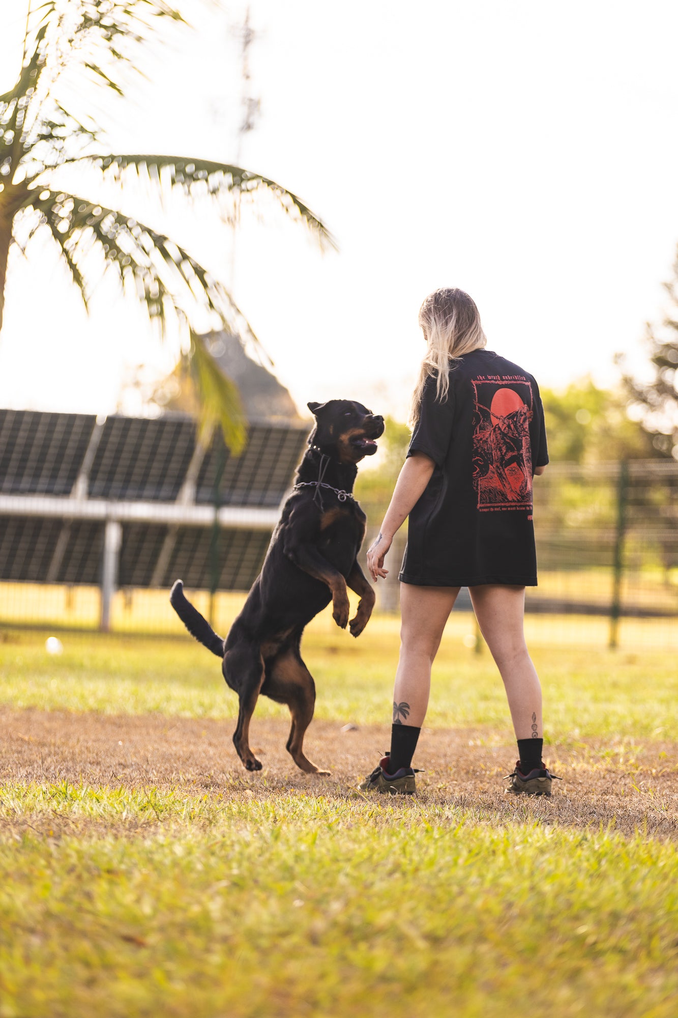 Camiseta - Dual Instinct | Rottweiler