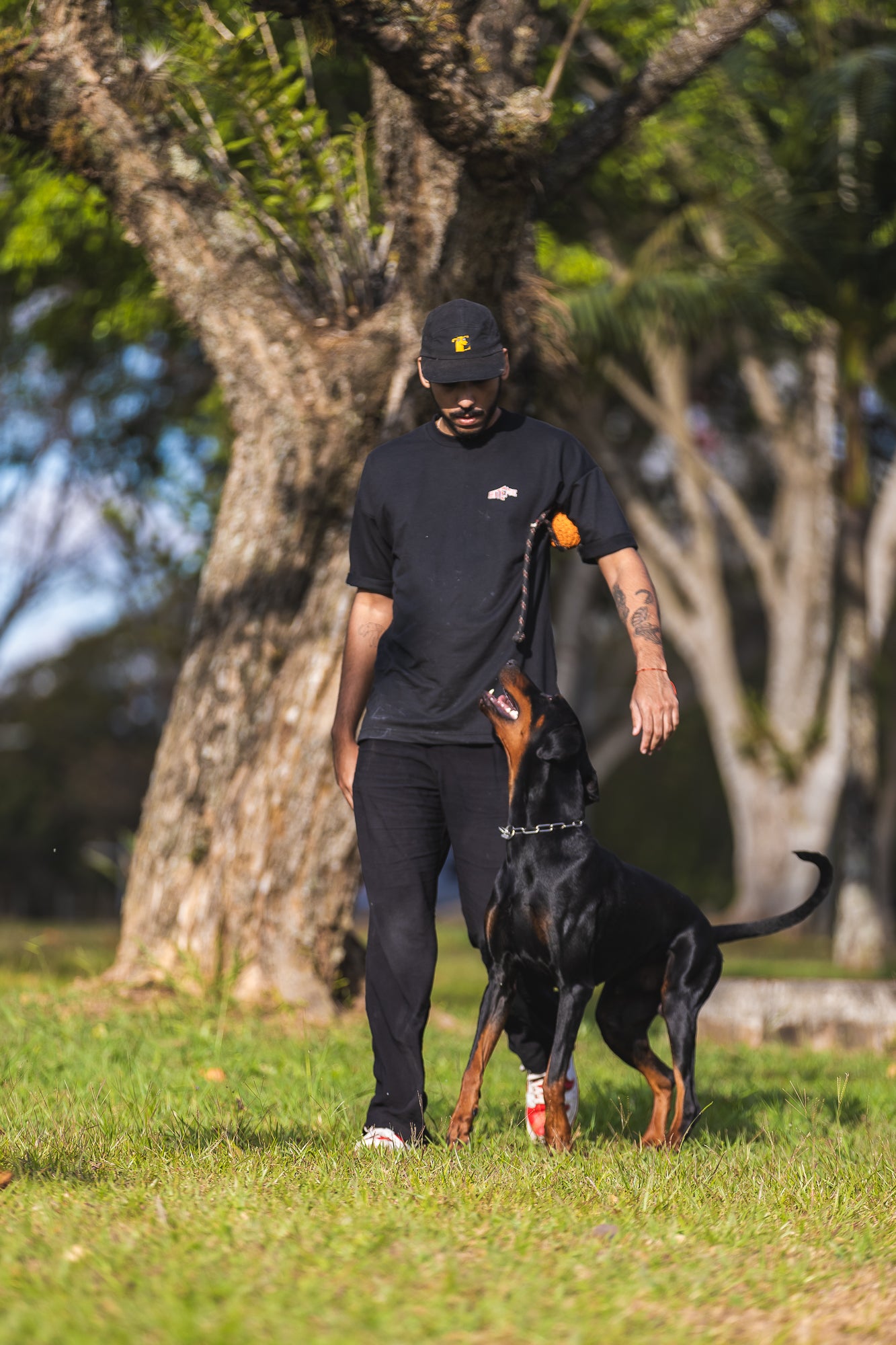 Camiseta - Dual Instinct | Dobermann